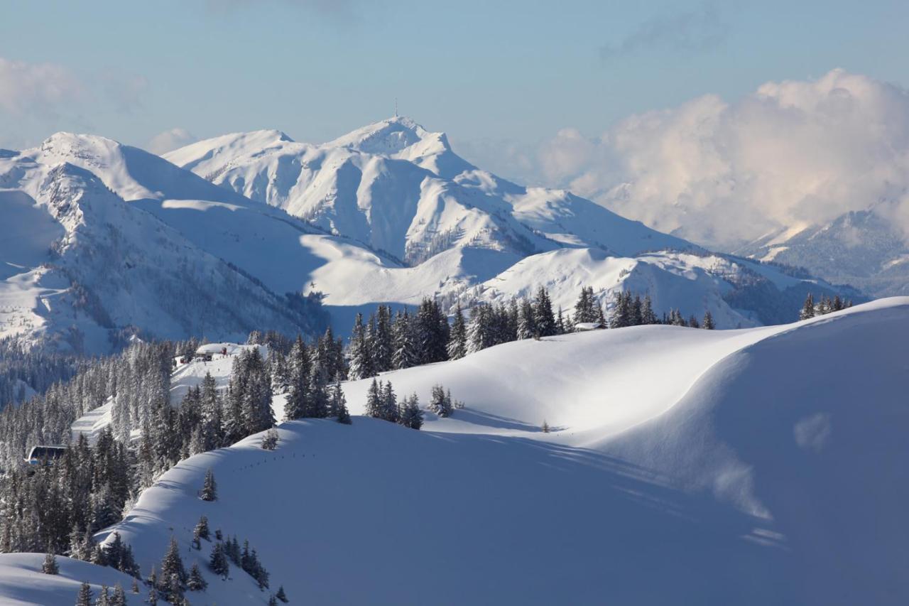 House Of Huetter - Wachtelhof & Spa Maria Alm am Steinernen Meer Luaran gambar